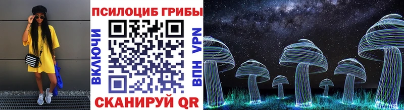 Псилоцибиновые грибы Psilocybine cubensis  где купить наркоту  Боготол 